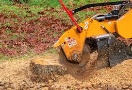  Whitesboro, NJ Tree Removal Pros