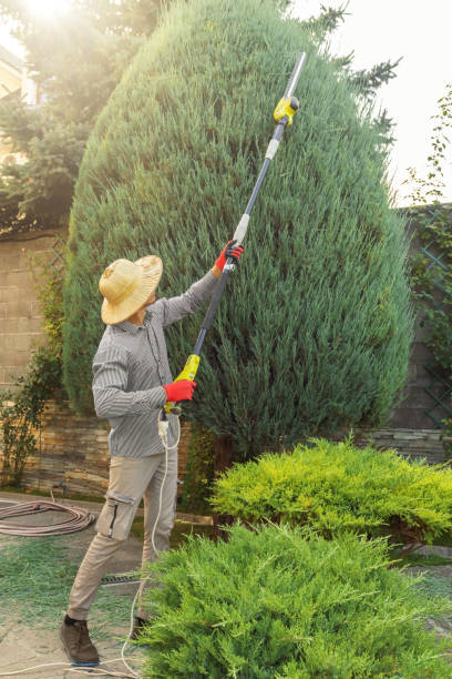 Best Pest Control for Lawns  in Whitesboro, NJ